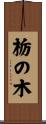栃の木 Scroll