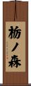 栃ノ森 Scroll