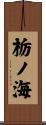 栃ノ海 Scroll