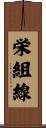 栄組線 Scroll