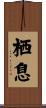 栖息 Scroll