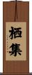 栖集 Scroll