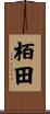 栢田 Scroll
