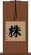 株 Scroll