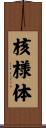 核様体 Scroll
