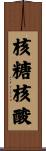 核糖核酸 Scroll