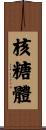 核糖體 Scroll