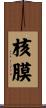 核膜 Scroll