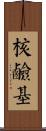 核鹼基 Scroll
