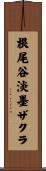 根尾谷淡墨ザクラ Scroll