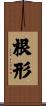 根形 Scroll