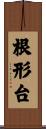 根形台 Scroll