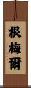 Gemmell Scroll