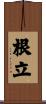 根立 Scroll