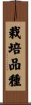 栽培品種 Scroll