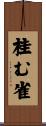 桂む雀 Scroll