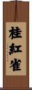 桂紅雀 Scroll