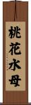 桃花水母 Scroll