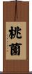 桃薗 Scroll
