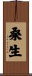 桑生 Scroll