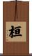 桓 Scroll