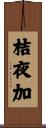 桔夜加 Scroll