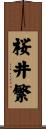 桜井繁 Scroll