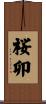 桜卯 Scroll