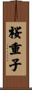 桜重子 Scroll