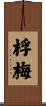 桴梅 Scroll