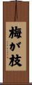 梅が枝 Scroll