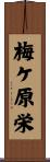 梅ケ原栄 Scroll