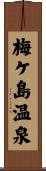 梅ケ島温泉 Scroll