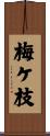 梅ケ枝 Scroll