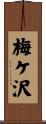 梅ケ沢 Scroll