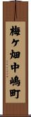 梅ケ畑中嶋町 Scroll
