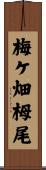 梅ケ畑栂尾 Scroll