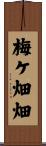 梅ケ畑畑 Scroll
