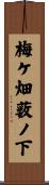 梅ケ畑薮ノ下 Scroll