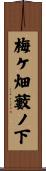 梅ケ畑藪ノ下 Scroll