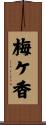 梅ケ香 Scroll