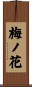 梅ノ花 Scroll