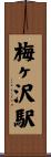 梅ヶ沢駅 Scroll