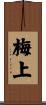 梅上 Scroll