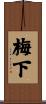 梅下 Scroll