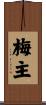 梅主 Scroll