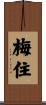 梅住 Scroll