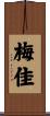 梅佳 Scroll