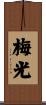 梅光 Scroll