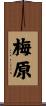 梅原 Scroll